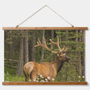 Search for bull elk art Alberta