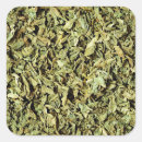Search for oregano stickers Culinary