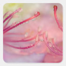 Search for rhododendron stickers Usa