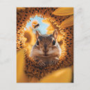 Search for peeking postcards Wildlife