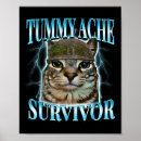 Search for cat meme posters Independence