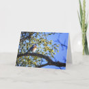 Search for mistletoe cards Kiss