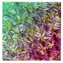 Search for lush tiles Background