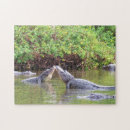 Search for spring puzzles Wild