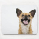 Search for panting mousepads Dog