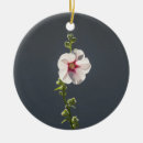 Search for mallows Flower