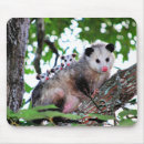 Search for possum mousepads Animals