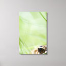 Search for wild one canvas prints Close up