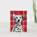 Search for dalmatian christmas cards Pets