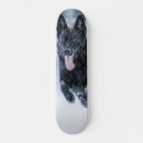 Search for covers skateboards Dog
