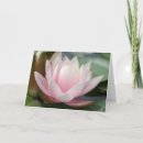 Search for water lily invitations Pink