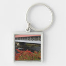 Search for fall colour key rings No people