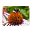 Search for bee lovers magnets Bees