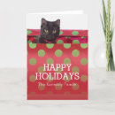 Search for shot photo cards Photography