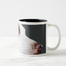 Search for bull head mugs Animal body part