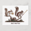 Search for go nuts postcards Squirrel
