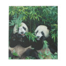 Search for panda bear notepads Bamboo