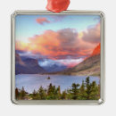 Search for montana christmas tree decorations landscape
