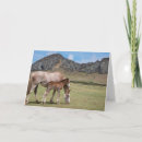 Search for colt cards Ranch
