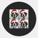 Search for saint bernard stickers Aesthetic
