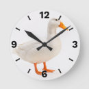 Search for farm animal clocks Farmhouse