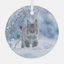 Search for animal christmas tree decorations Wildlife