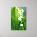 Search for lily of the valley art Botanical