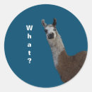 Search for tshirts stickers Fun