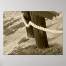 Search for wetlands art Photography