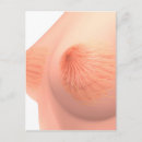 Search for breasts postcards Medical