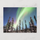 Search for aurora borealis northern lights cards Stars