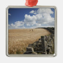 Search for fence christmas tree decorations Rural
