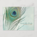 Search for elegant peacock postcards Rustic