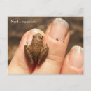 Search for froggy postcards Amphibian