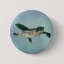 Search for baby turtle badges Sea