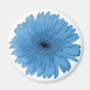 Search for gerber magnets Blue