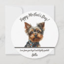 Search for cute yorkie cards Fun