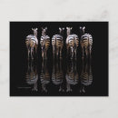 Search for black and white zebra postcards Stripes