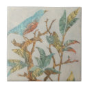 Search for avian tiles Collages