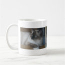 Search for ragdoll cat mugs Himalayan