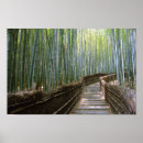 Search for bamboo posters Nature