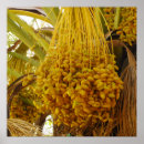 Search for dates posters Tree