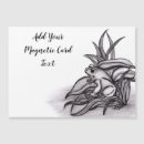Search for tree frog cards Froggy