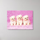 Search for studio shot canvas prints Sitting
