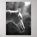 Search for pop art horse posters Horses