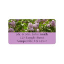 Search for light purple return address labels Lilac