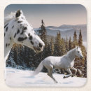 Search for appaloosas barware Running