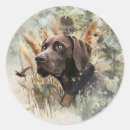 Search for german shorthaired pointer stickers Gsp