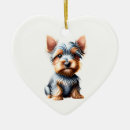 Search for silky terrier Puppy