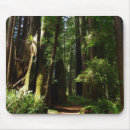 Search for redwood mousepads Forest
